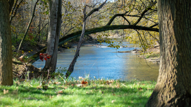 A river in autumn